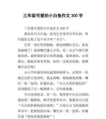 我和小白兔的故事（那些年）