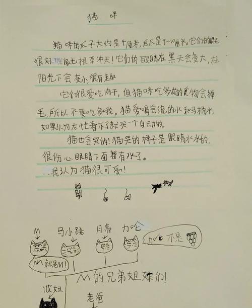 流泪背后的故事（一位女孩的心路历程）