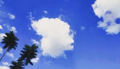 微信朋友圈里的夏日热情（2024年的夏天）