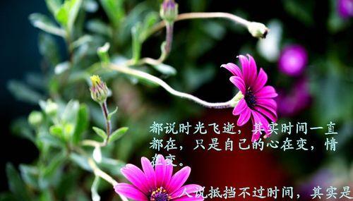 微信感悟人生经典好句——用心品读每一个瞬间