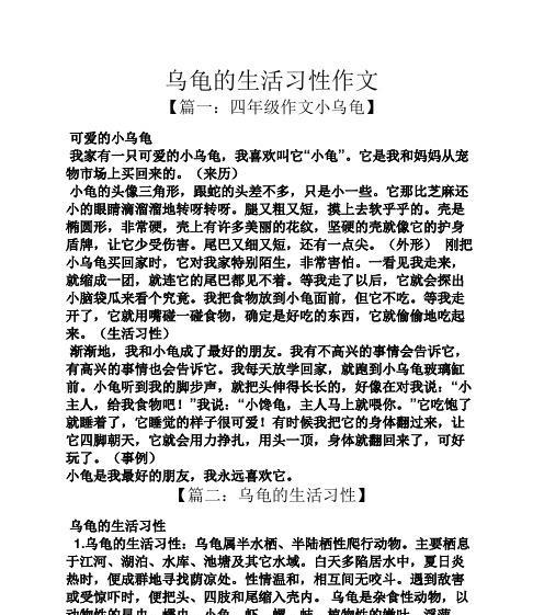 一只乌龟的坚持与勇气（一只乌龟的坚持与勇气）