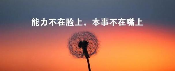 在压力与困境中寻求自我（在压力与困境中寻求自我）