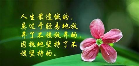 悲欢离合皆是人生（25个唯美句子感悟人生）
