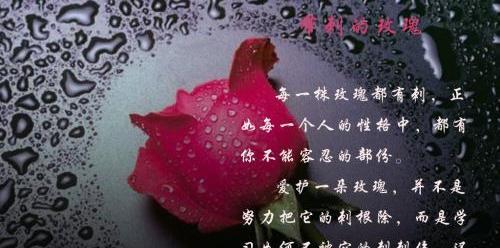 25个唯美短句助你在成长路上行得更远（25个唯美短句助你在成长路上行得更远）
