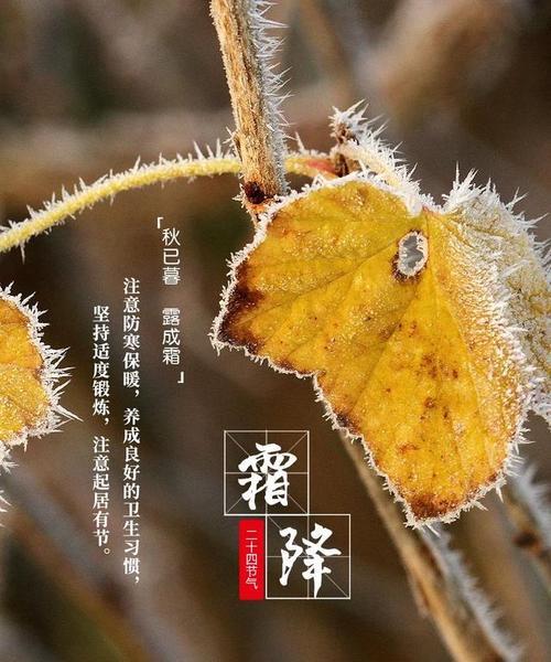 感受秋冬交界的神秘与美丽（感受秋冬交界的神秘与美丽）