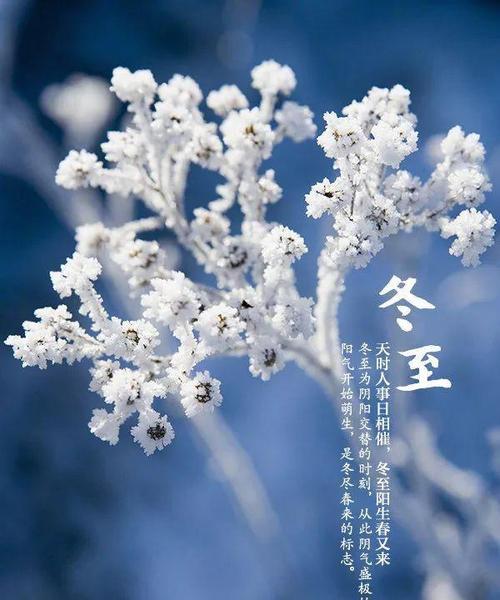 以心传情，以词传爱（以心传情）