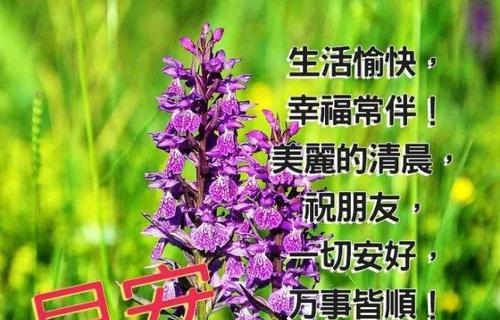 《2024早安问候语短句80句》（唯美短句为你传递幸福）