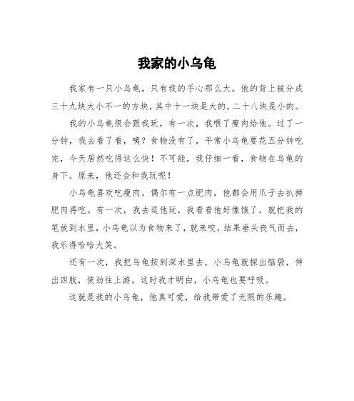 我的小乌龟——与它一起成长