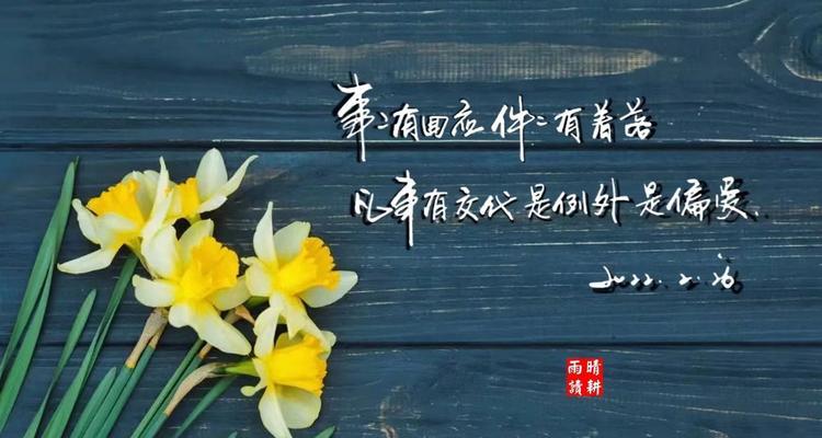 流淌的唯美（探寻人生中的美好时刻）