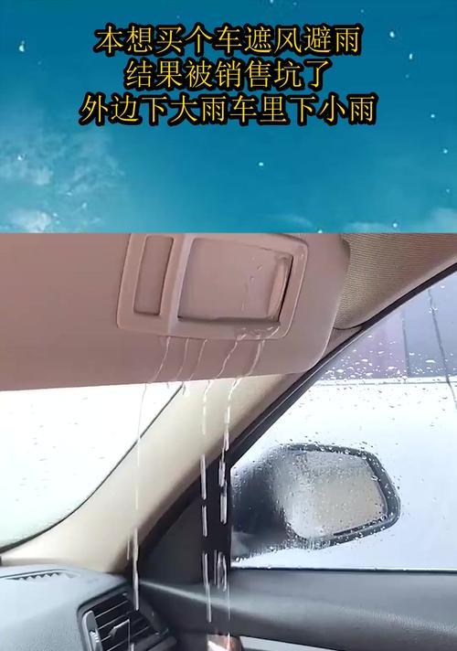 遮风避雨（在雨中寻找温暖）
