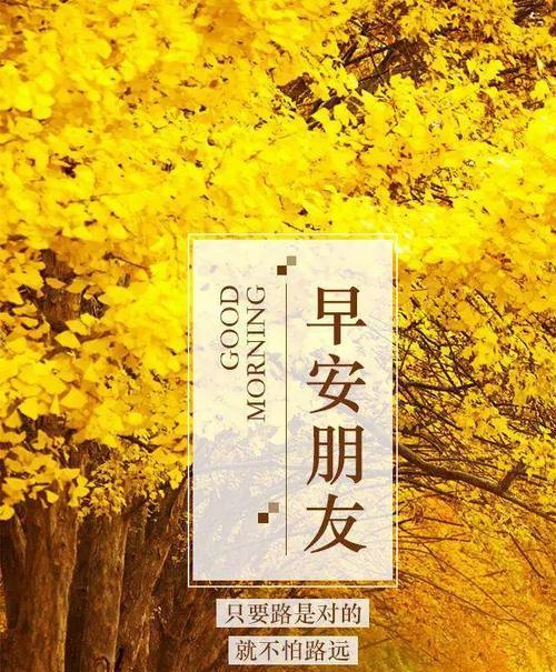 心中阳光（向阳心的力量）