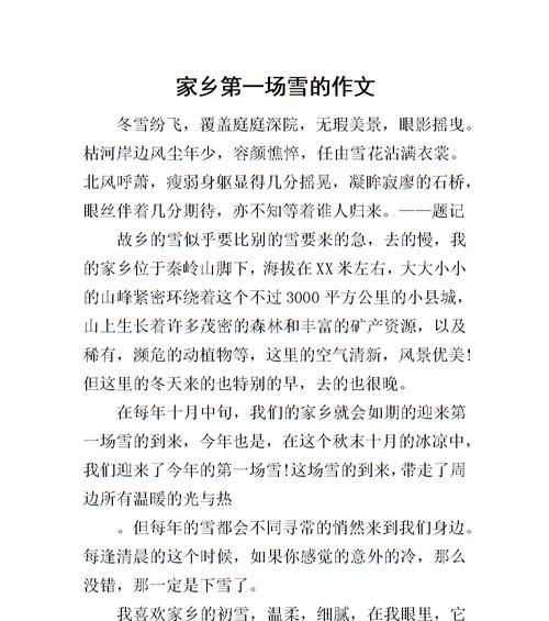 雪中奇遇（与白雪共舞的少年）