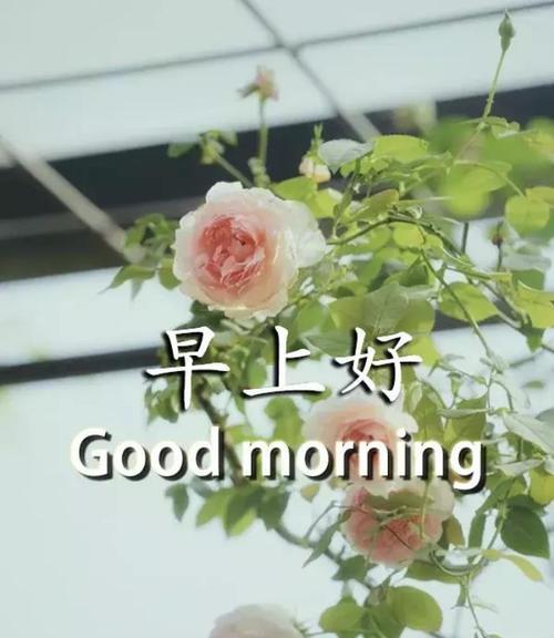 恋人之间的清晨问候（用语言传递真挚情感）