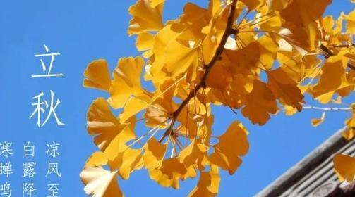 花香浓郁，清风送爽——立秋祝福语句子精选（2024年立秋）
