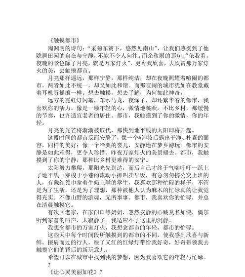 宁静的喜悦（追寻内心深处的平静与愉悦）