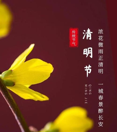 清明时节，怀念逝去的亲人与敬仰先贤（用唯美的句子）