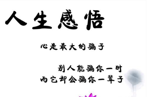 借名言品味人生（借名言品味人生）