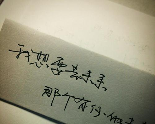 探寻人生的美与痛（探寻人生的美与痛）