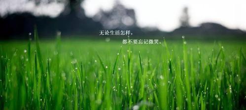 寻找内心的坚韧（寻找内心的坚韧）