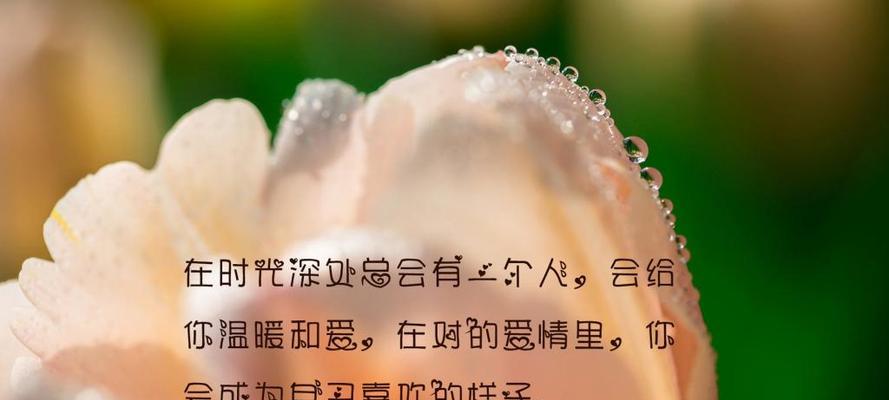 自嗨一族，笑看人生（用唯美句子点亮心灵）
