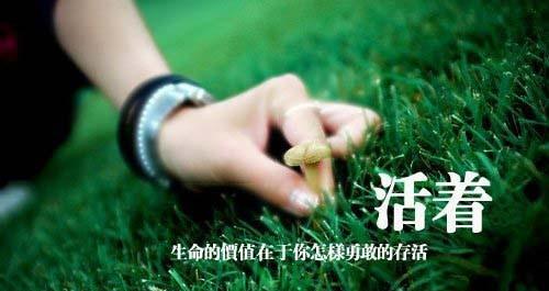 《幸福时光》——过得挺好
