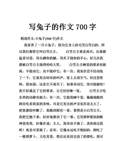 小白兔的大冒险