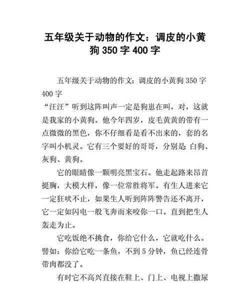 狗：忠诚伴侣的故事