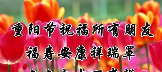 重阳祝福：以唯美短句祝福亲友
