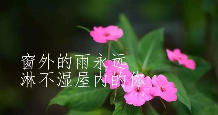 《瞬间的永恒》