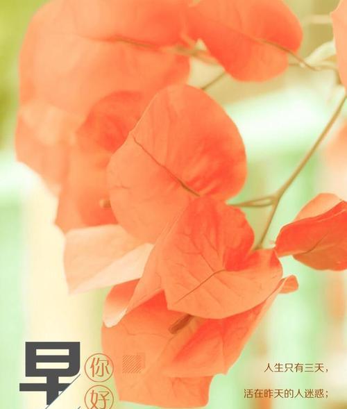 七夕情话朋友圈早安说说——用一句话传递你我的思念（唯美短句）