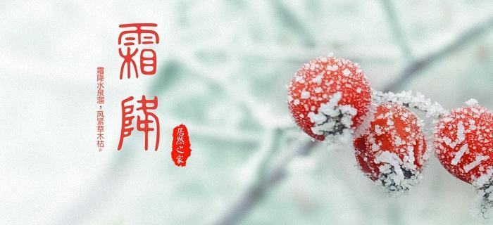 《霜降之美》——走进冬季
