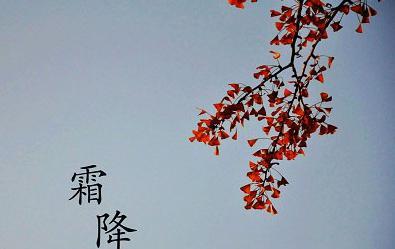 霜降，枫叶飘舞（秋意渐浓）