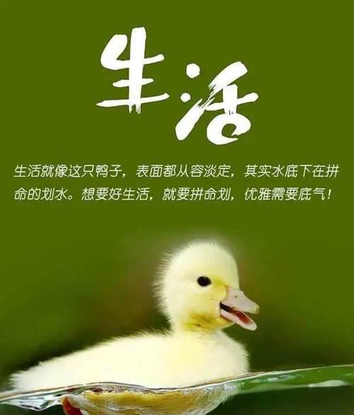 以霜降为界，渐入冬日（感受秋末冬初的美好）