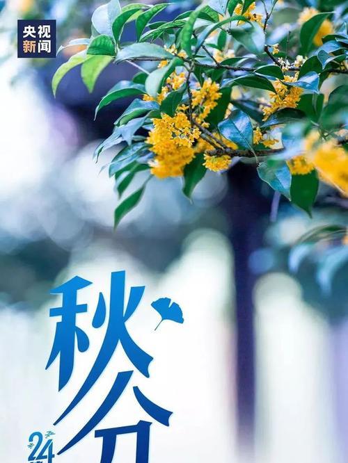 2024，秋分到来，感受自然之美（2024）