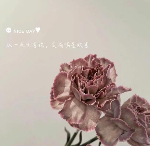 520表白节（经典好句走心语录）
