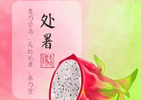 夏日逝水（以今日处暑问候朋友）