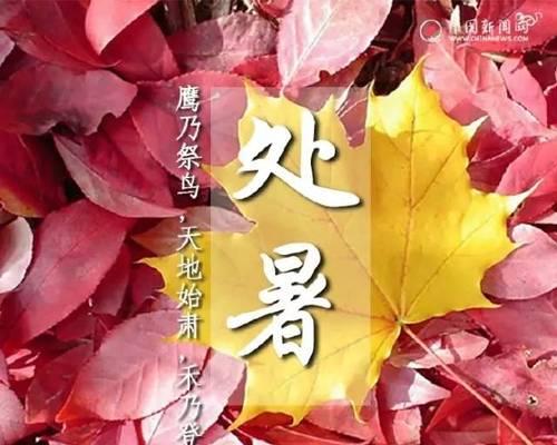 岁月流转唯美短句（以今日处暑为灵感）