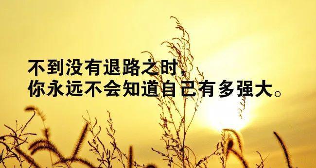 用爱与勇气迎接自己（用爱与勇气迎接自己）