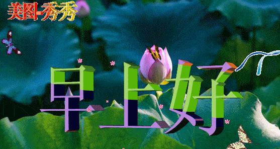 夏至关怀问候短信怎么写？2023年夏至问候语有哪些？