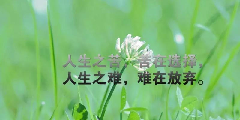 2023微信励志名言有哪些？如何在微信中找到和分享励志名言？