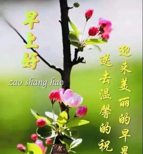 七夕节如何表达爱意？美好祝愿的简短句子有哪些？