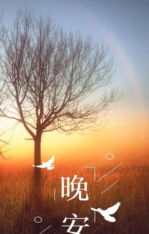 2023晚安心语说说有哪些？如何挑选适合自己的晚安心语？