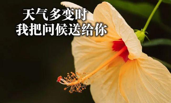 2023天气转凉温馨问候语怎么说？如何表达关心？