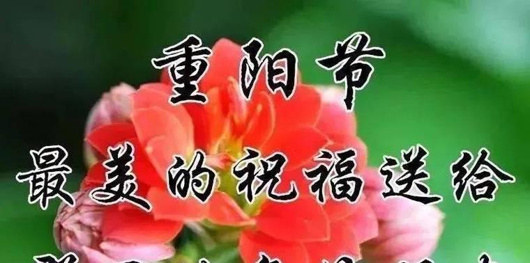 2023年重阳节如何送朋友祝福语？有哪些创意祝福语推荐？