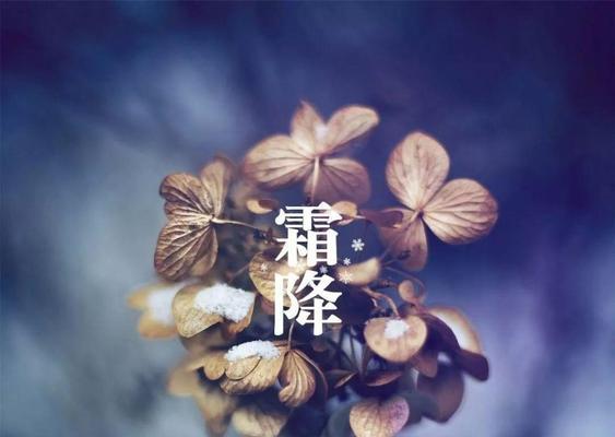 2023霜降如何发朋友圈祝福？有哪些创意问候语句子？