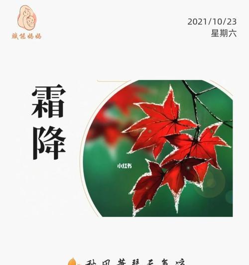 2023霜降朋友圈句子怎么写？有哪些创意分享？
