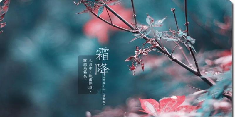 2023霜降节气适合发什么朋友圈句子？如何表达对秋天的感悟？