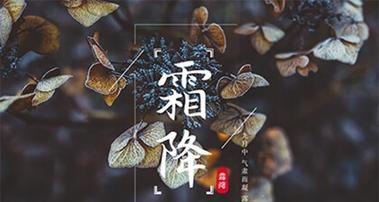 2023霜降节气有哪些经典句子？这些句子背后的文化含义是什么？