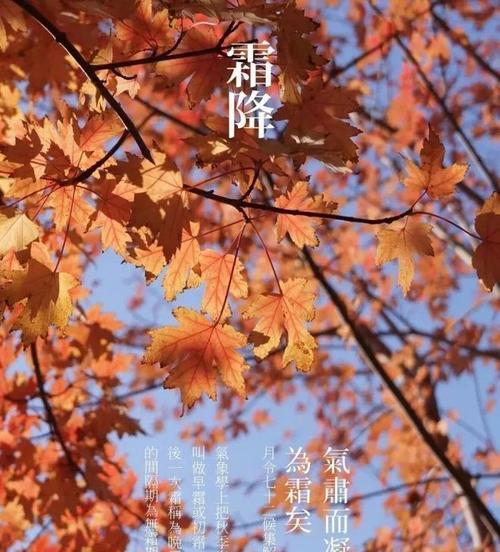 2023霜降发朋友圈的祝福语有哪些？如何用温馨话语表达关怀？