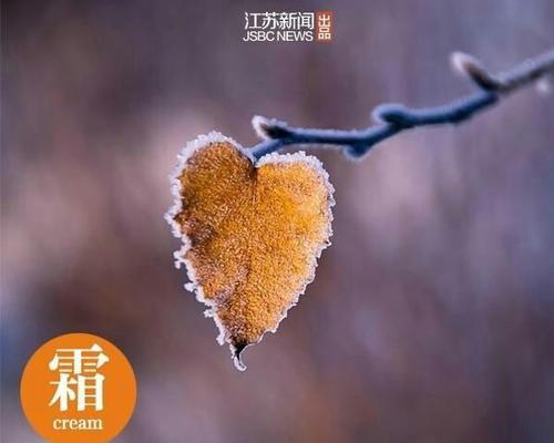 2023霜降的早安语录有哪些？如何用早安语录迎接霜降？